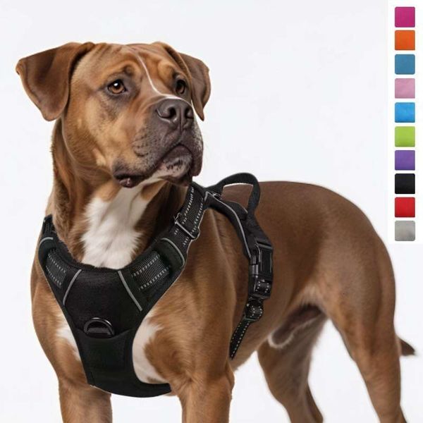 Nylon Leash Large Dog Harness Pet Supplies