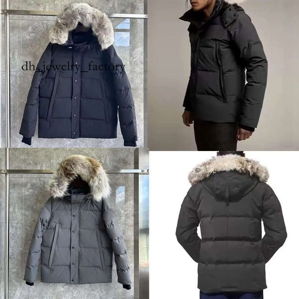 

mens Winter jacket Wyndham jacket Parka Homme Warm Outerwear Wolf Fur Hooded down jacket Red logo black logo coat mens hooded puffer jacket EU size XS-2XL 2d1, Gray