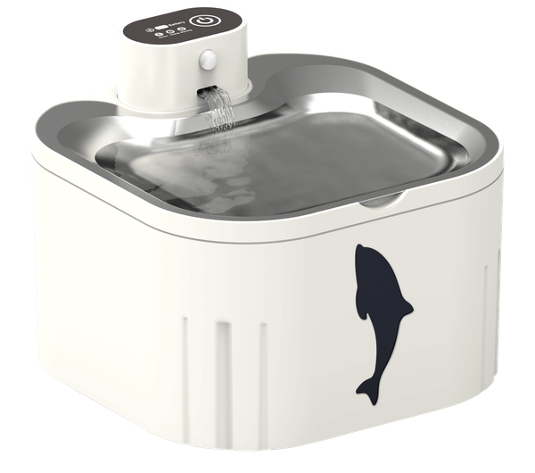 Automatic Timed Pet Feeder and Drink Station Durable Stainless Steel Design