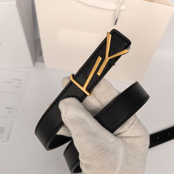 

Y S L BeltsY SL Belts YS L designer Belts Designer Men and Women Belt Triumphal Arch Genuine Leather Cowhide Luxury Classic Fashion Needle Buckle 2.5CM Multiple, C13