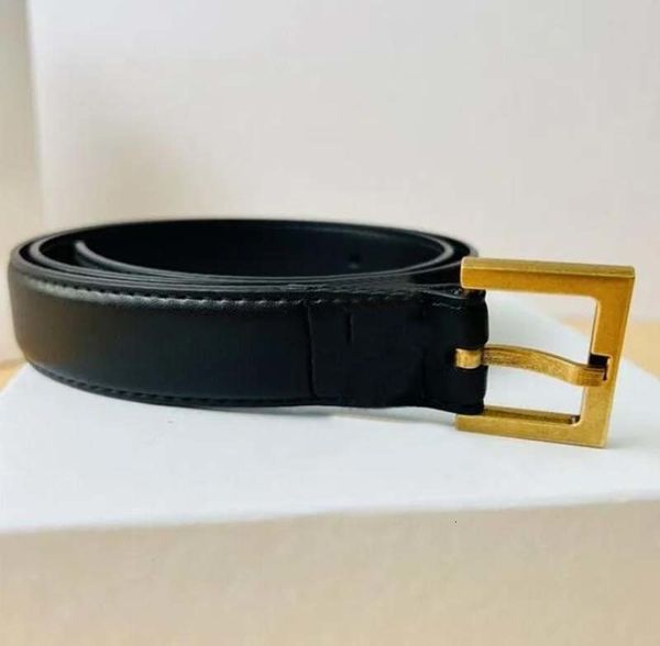 

Y S L BeltsY SL Belts YS L designer Belts Vintage cintura donna designer for women black brown belt men with needle buckle creative retro decoration genuine lea