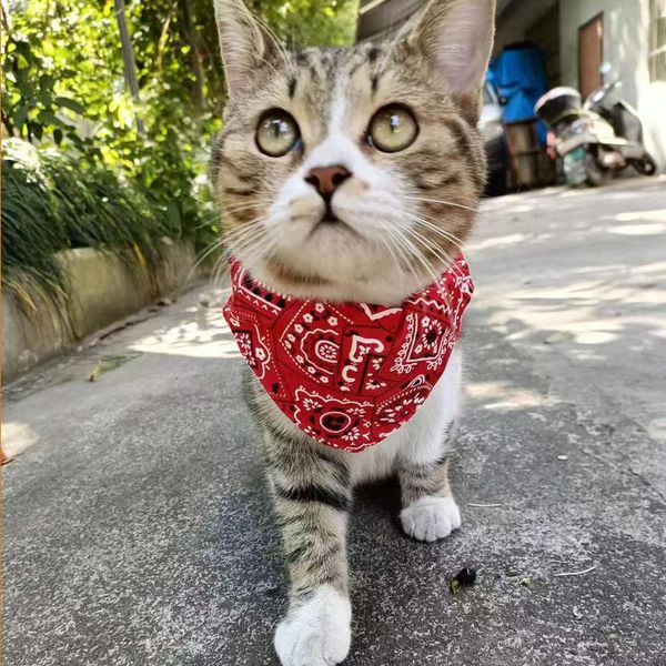 

2025 New Adjustable Dog Collar & Breathable Pet Clothing Set - Outdoor Adventures Cat/Dog Drool Towel with Neck Decoration, Blue