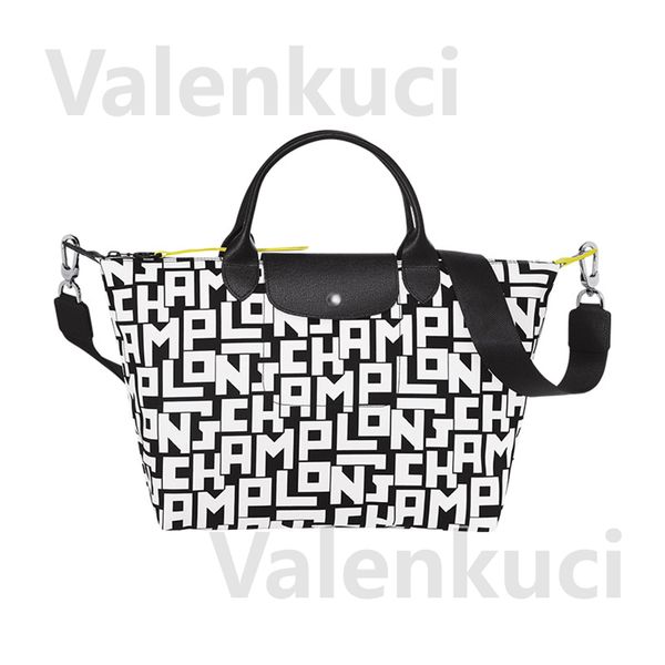 

Shoulder Bags for Women Luxury Handbags Designer France Tote Female D065-1, Black
