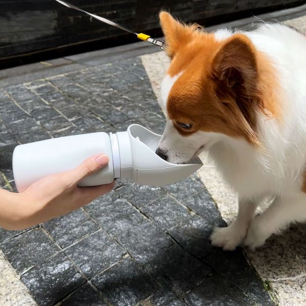 

High Volume 550ml Pet Walking Mug Folding Leak Proof Pet Water Bottle Portable Collapsible Water Dispenser Cup Puppy, White