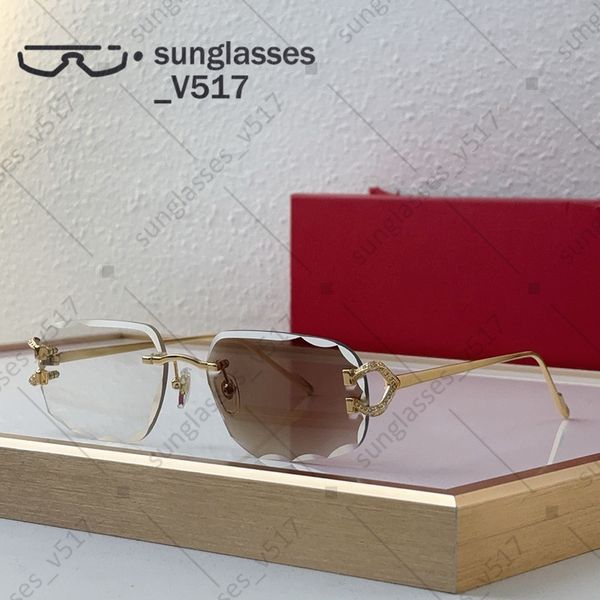 

photochromic sunglasses sunglasses for women designer glasses sunglasses men premium High end eyewear Modern sophistication Euro american style lunette luxe