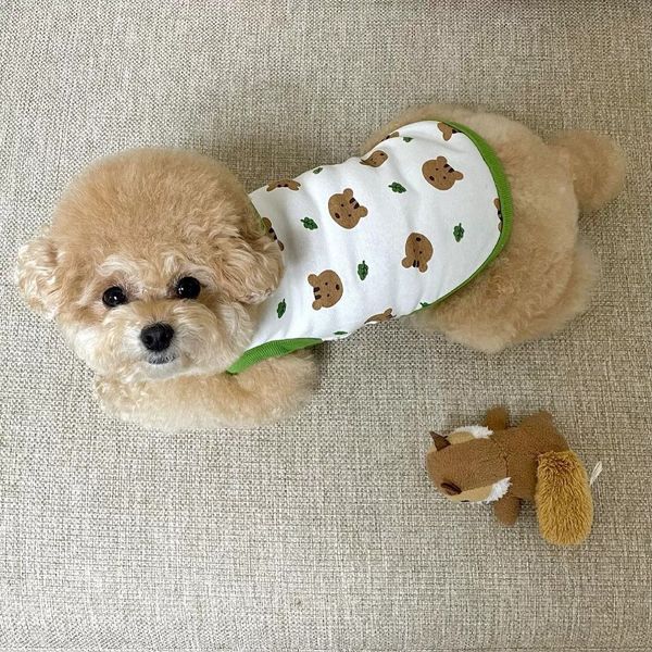 

Autumn outfit new pet teddy bear clothes Teddy Schnauzer Pomeranian VIP small dog plush cotton vest, Green