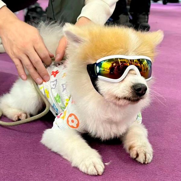 

Pet Protective Glasses Original Appearance Design S/M/L-sized Dog Goggles Windproof Anti UV Skiing Sunglasses