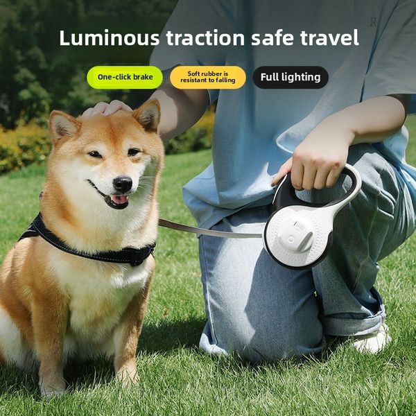 Ergonomic Expandable Canine Tether | Self-Winding Safety Device + Secure Buckle Clip Accessory dog collar