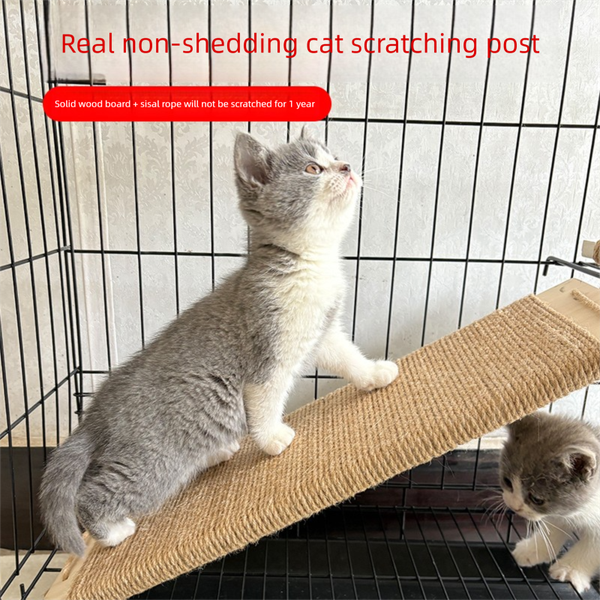 

Long-lasting Environmentally Friendly Cat's Nook - Versatile Double-sided Cardstock Kitten Retreat