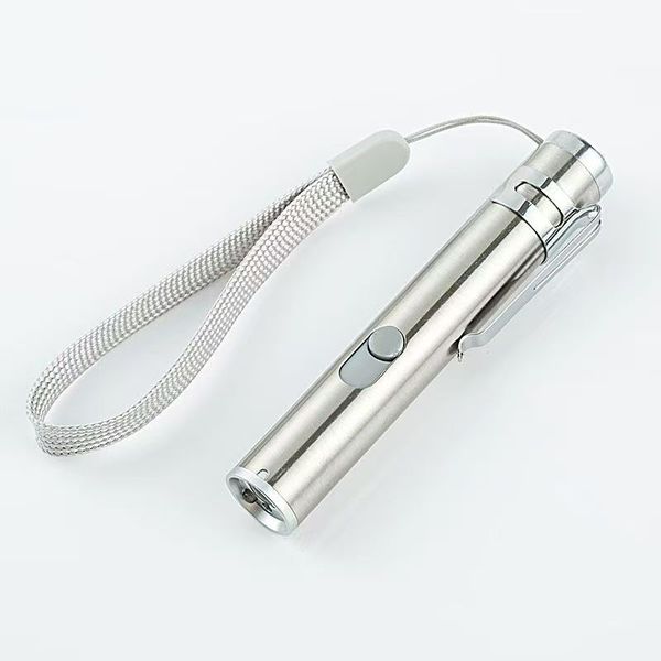 

USB Rechargeable Laser Pen for Cats - Pet Toy with Infrared Light, Silver