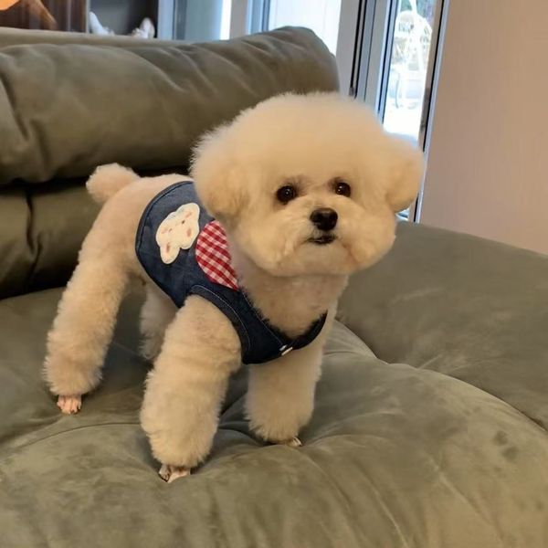 T00220Stylish Animal Apparel: Comfortable Teddy Design Coat w/Tie Down Strap System Suitable for Small Breeds