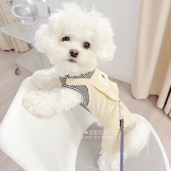 T00221 Can be tied with a leash Couples Four-legged Clothes One-piece Dress Panda Teddy Dog Clothes Spring and Summer Princess Style