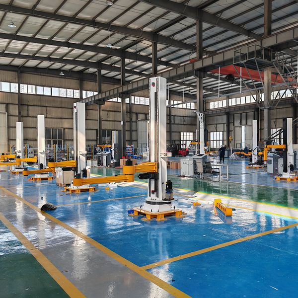 

Customizable Pallet Manipulator Robot Column Palletising Robots Price