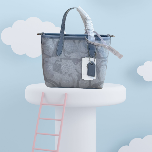 

Cute small hand-held women's leather bag luxury design big brand box --CA8011, Ca8011-1