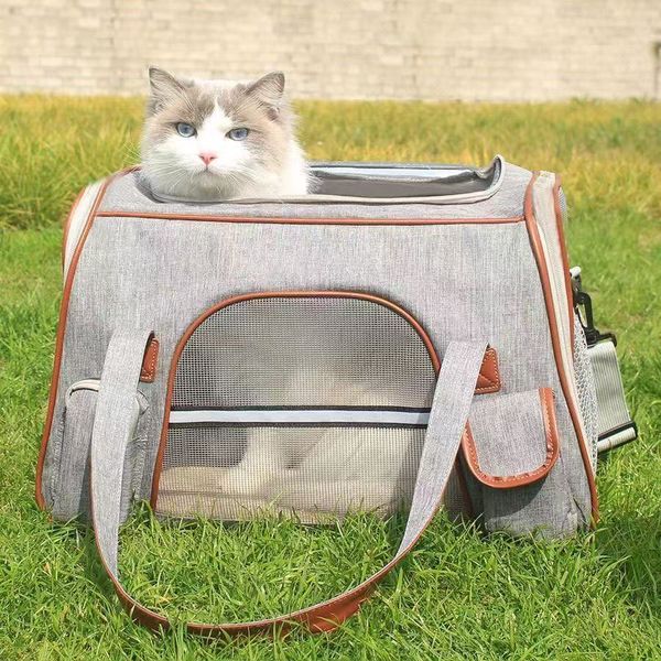 

Spring portable  capacity foldable breathable backpack essential carry-on pet cat bag, Beige