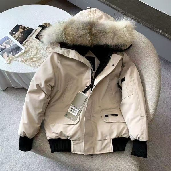 

01 canadian jackets mens down jacket mens puffer jacket chilliwac k 7999M Wolf fur goosesjacket winter parka fur hoodie windproof outdoor mens coat asian size -xxl, Color3
