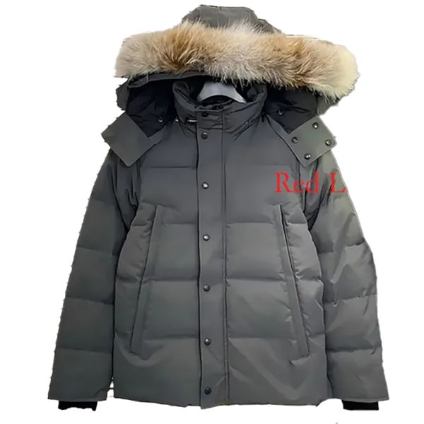 

mens down jacket canadian jackets mens puffer jacket Wolf fur goosesjacket winter parka fur hoodie windproof outdoor mens coat asian, Gray 1 red badge