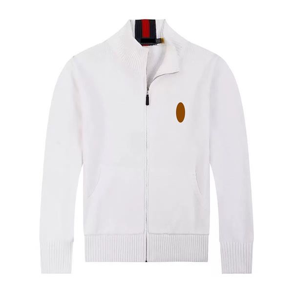 

polo sweater mens sweater mens polo hoodie sweaters designer Pullover Cotton Horse Long Sleeve knit sweater Zip sweatershirts autumn clothing asian size m, Color1