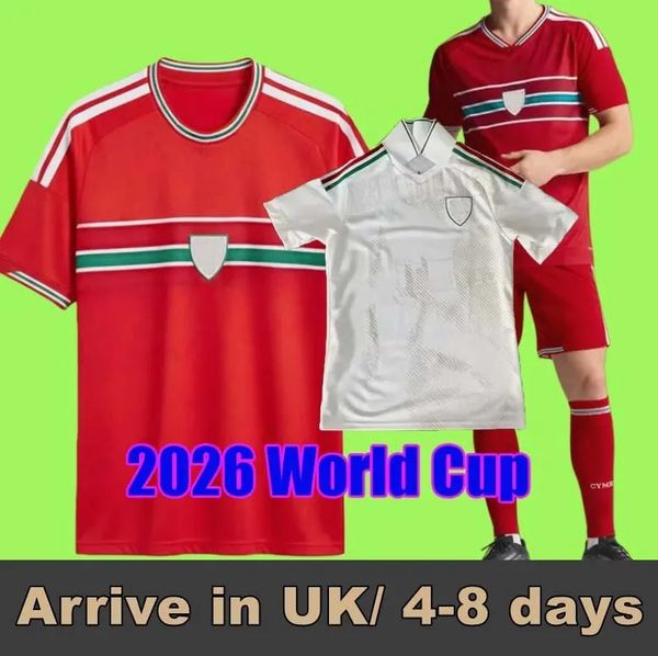 

2026 World Cup Wales soccer jerseys JAMES BALE Men Home Away goalkeeper Training fans player Welsh football shirts JOHNSON N.WILLIAMS RODON T.ROBERTS MOORE THOMAS, Grey