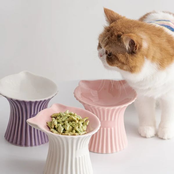 

148770 The stainless steel cat bowl is durable not easy to break, and can be used for a long time, Multi