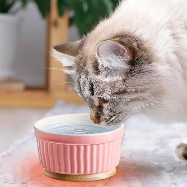 160178 The cat bowl is equipped with a dedicated phone holder, which allows the owner to place their phone while feeding and take care of the cat