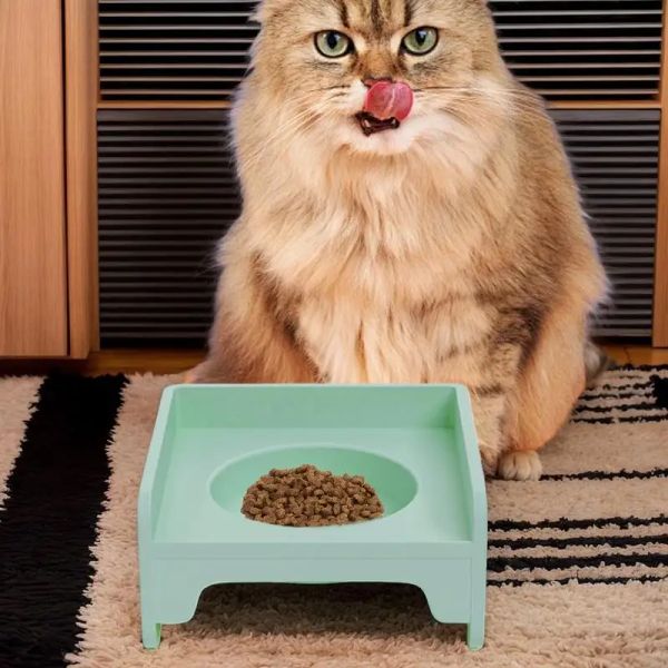162289 The bowl body adopts a double-layer insulation structure, with an outer layer that is heat-resistant and an inner layer that is insulated to prevent cat