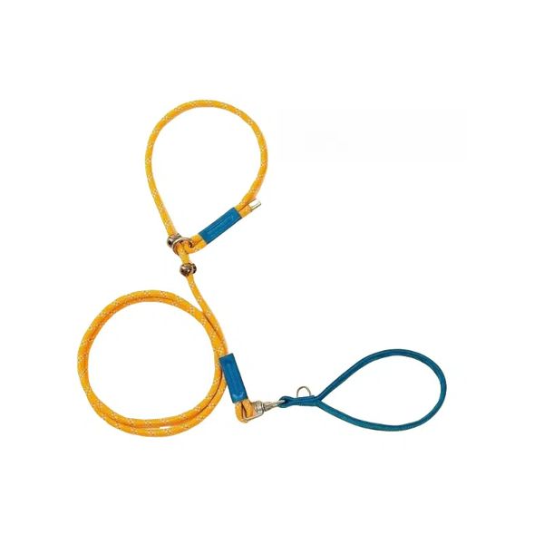 

Hands-Free Anti-Pull Training Dog Leash & Collar Combo with Reflective Strips & Comfortable Grip - High Strength Pet Rope for All Breeds, Orange