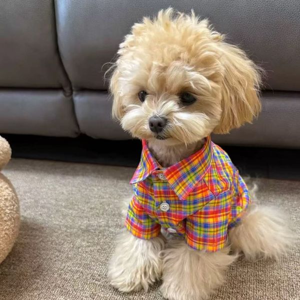 T00374 Dog pet clothes new plaid Bichon spring and summer Teddy small shirt thin Schnauzer cat puppy