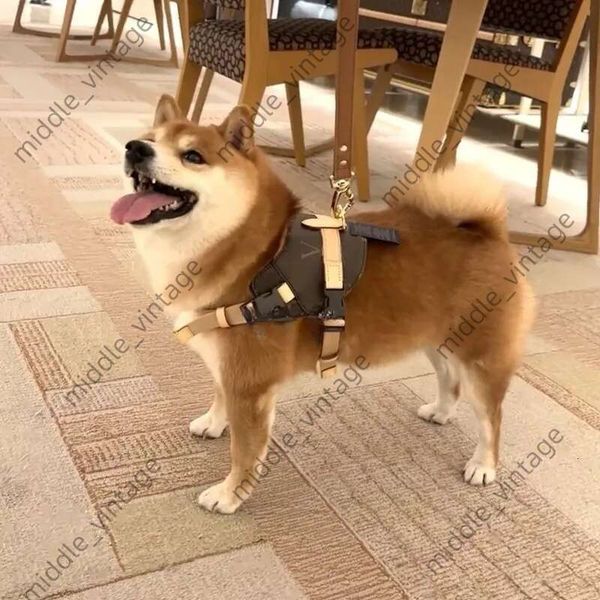 

Brand Supplies Designer Leash, Leather Harness With Old Flower Pattern, No-pull Pet Vest, No Choke, Adjustable, For  Dogs Fashionable Dog Birthday, Beige