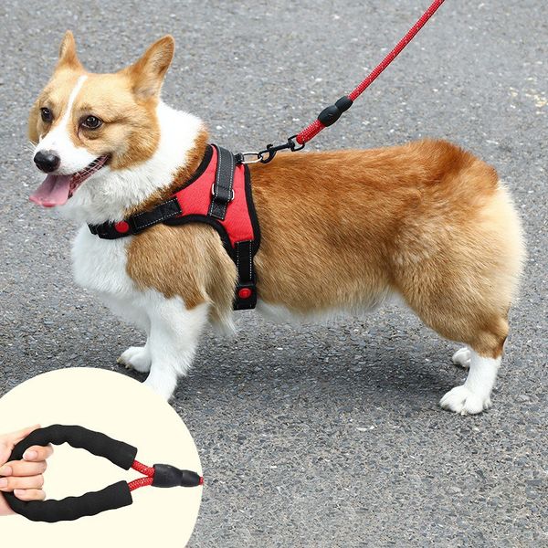 

Supplies Harness Large Pet Vest Collar Dog Walking Leash, Blue