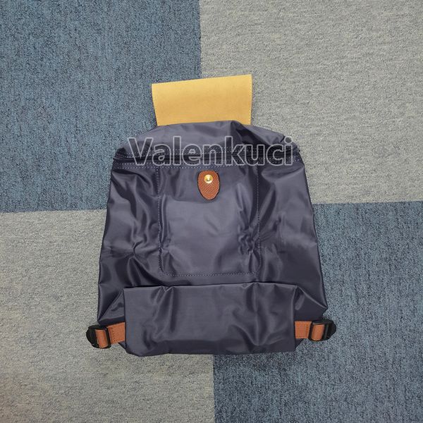 

Designer Backpacks Women Students Casual Backpacks for Girls Luxury Daily Travel Backpack Q16-5, Deep blue