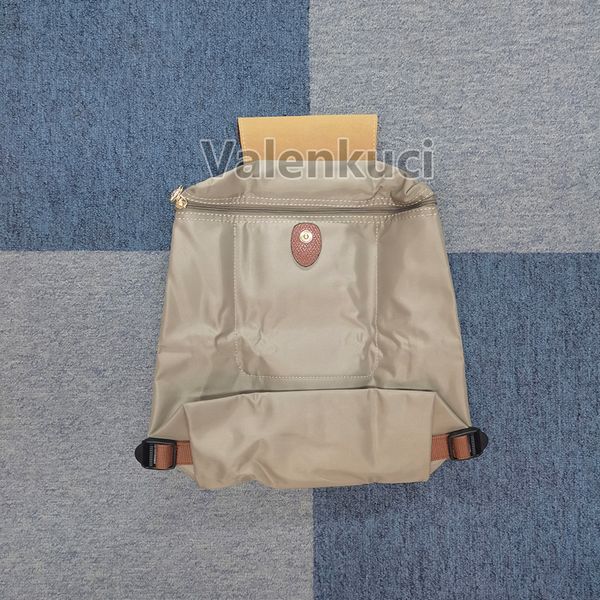 

Designer Backpacks Women Students Casual Backpacks for Girls Luxury Daily Travel Backpack Q16-7, Steel gray