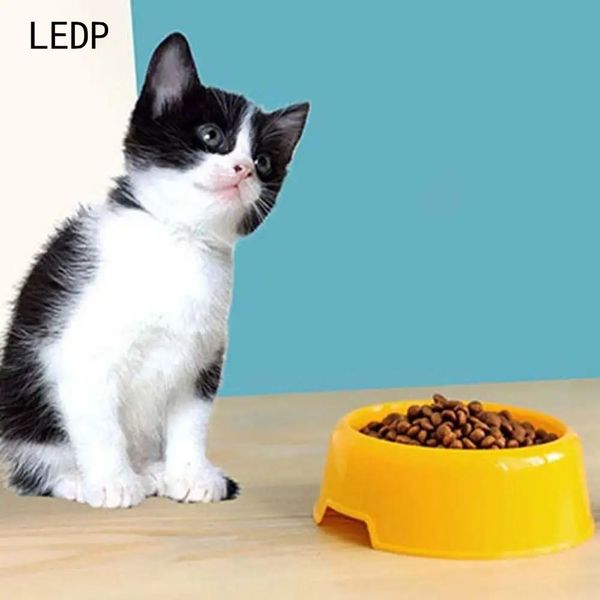 231464 Insulated cat bowl, locks in warmth in cold winter, keeps food warm, cats love to eat, and stay