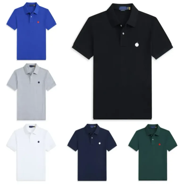

Designed men's shirt polo shirt brand high quality lapel large Size casual loose solid color cotton embroidery short sleeve T-shirt size S-2XL, P2