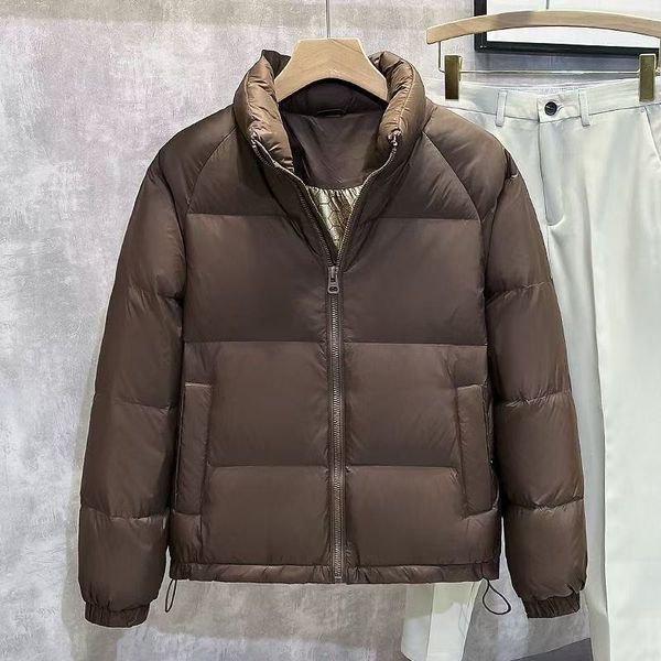

New Warm Down Jacket Short Clear Thin Stand up Collar Solid Color Winter Thick Coat01, Beige