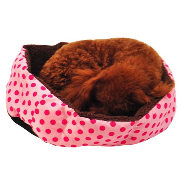 discount pets and supplies