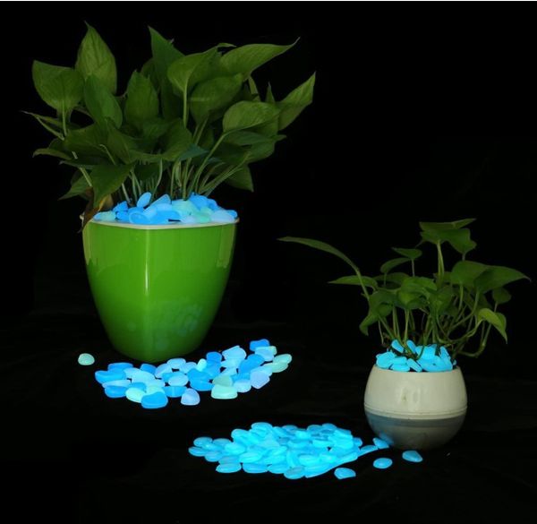 patio brillante pasarela de flores 50 piedras fluorescentes 