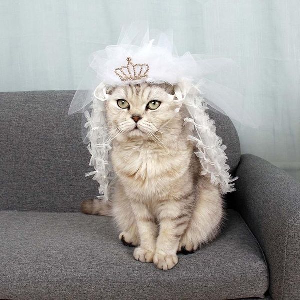 Rabatt Crossdresser Kostume 2021 Im Angebot Auf De Dhgate Com