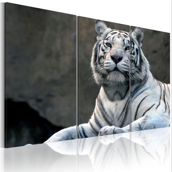 Rabatt Tiger Abstrakt 2021 Im Angebot Auf De Dhgate Com