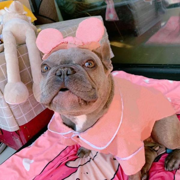 discount dog clothes