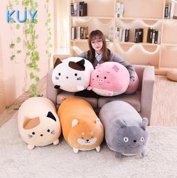 6090cm Nouveau géant mignon toys toys en peluche en peluche charmant chat chien cochon toroto canapé oreiller coussin pour enfants apaiser le jouet décoration intérieure t188699540