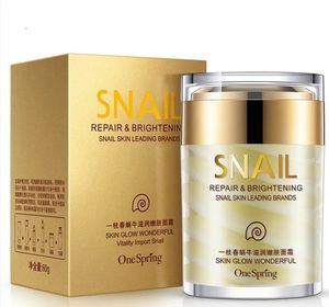 60g Creams & Lotion good local brand Snail Moisturizing&Rejuvenating face cream gentle moisturizing for tender and smooth skin Face cream facial care