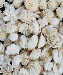 60pcs Sola Wood Flower Assortiment Fleurs en bois Fleur artificielle pour décoration Y11289116236