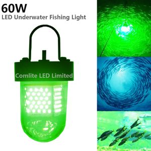 60W DC12V Submersible LED leurres de pêche éclairage sous-marin détecteur d'appâts avec câble vert bleu blanc couleur 6 mètres