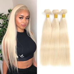 613 Blonde Braziliaanse Straight Menselijk Haar Weeft Volledige Hoofd 3 stks/partij Dubbele Inslagen Remy Hair Extensions