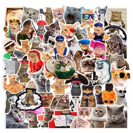 66 pegatinas de gato bonitas, pegatinas de vinilo de gato divertido para portátil, botella de agua, equipaje de teléfono, pegatina para niños, adolescentes, niños y niñas L50-391