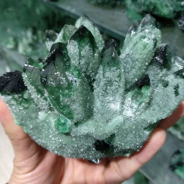 Spécimen de guérison en grappe de cristaux de quartz fantôme fantôme vert naturel de 680 g 201125