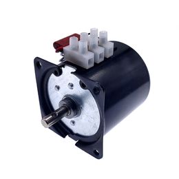 68ktyz 220V AC 28W Permanente magneet Micro -tandwielmotor