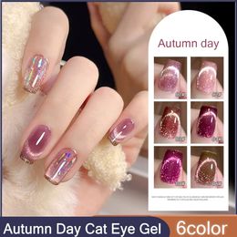 6Color Autumn Day Glitter Crystal Cat Eye Gel Nagell Pools 10 ml Flash Chameleon Magnetische gel Semi Permanente afwezigheid UV LED -gel 240129