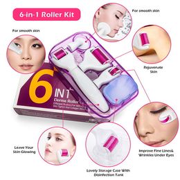 6in1 Microneedle Derma Roller Kit Titane Dermaroller Micro Aiguille Rouleau Facial Pour Le Visage Des Yeux Traitement Du Corps brosse propre pour le visage